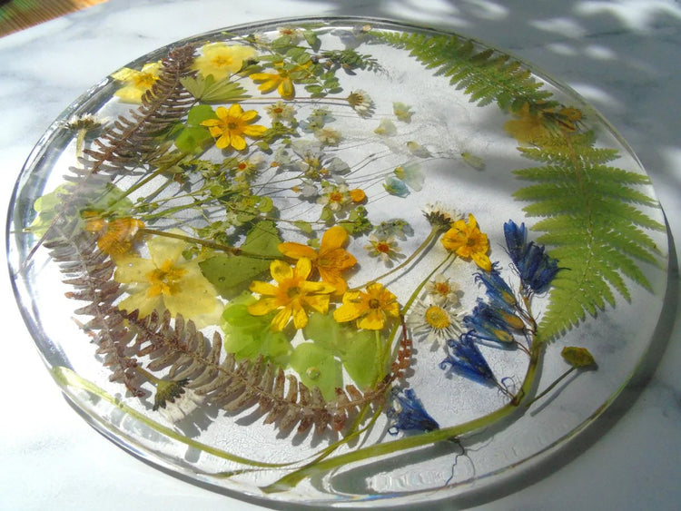 Coasters & Table Mats