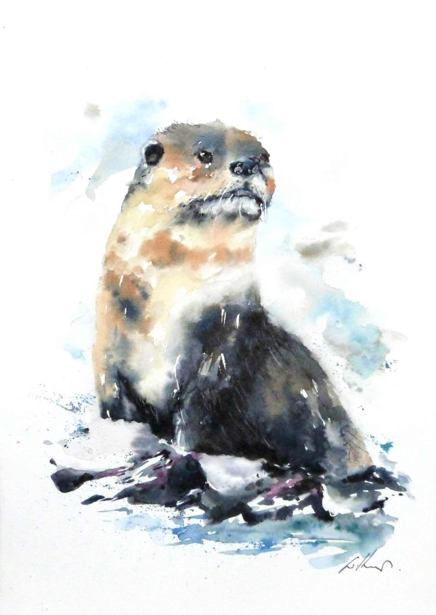 Otter - 1