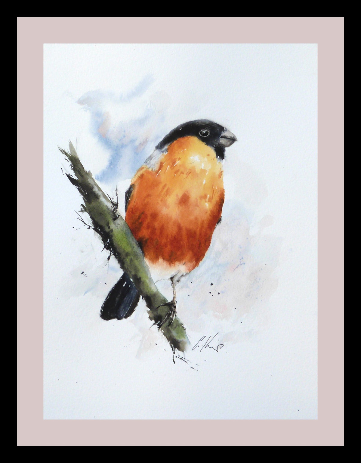 65538f7a329f1a3a70a34bd9_bullfinch-watercolour-by-graham-kemp_1786175686177.jpg