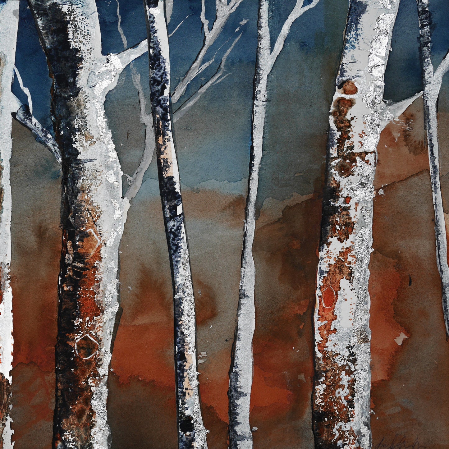 Silver Birches