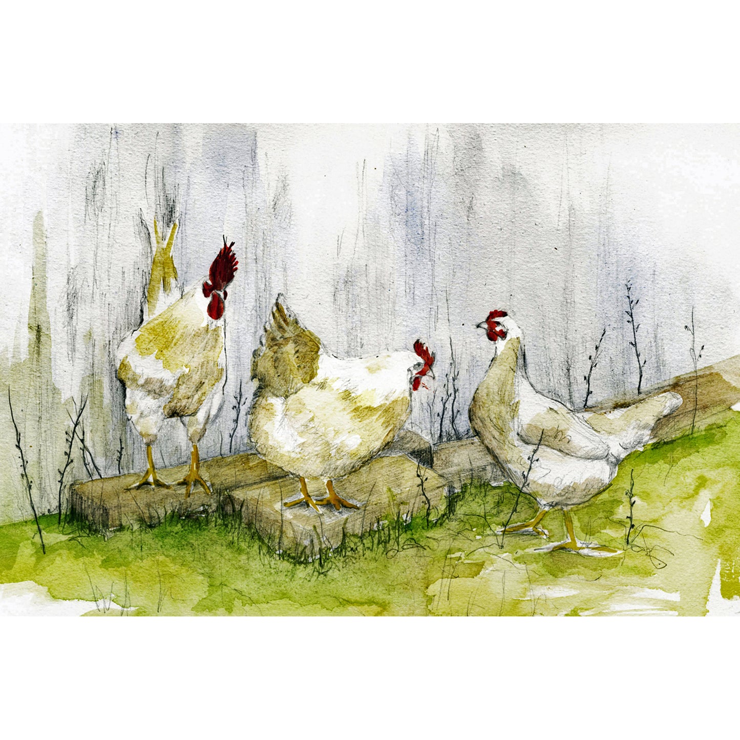 Three hens