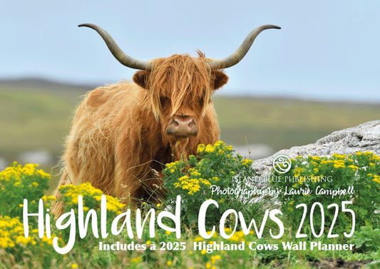2025 Highland Cows Landscape Calendar and Wall Planner - 1