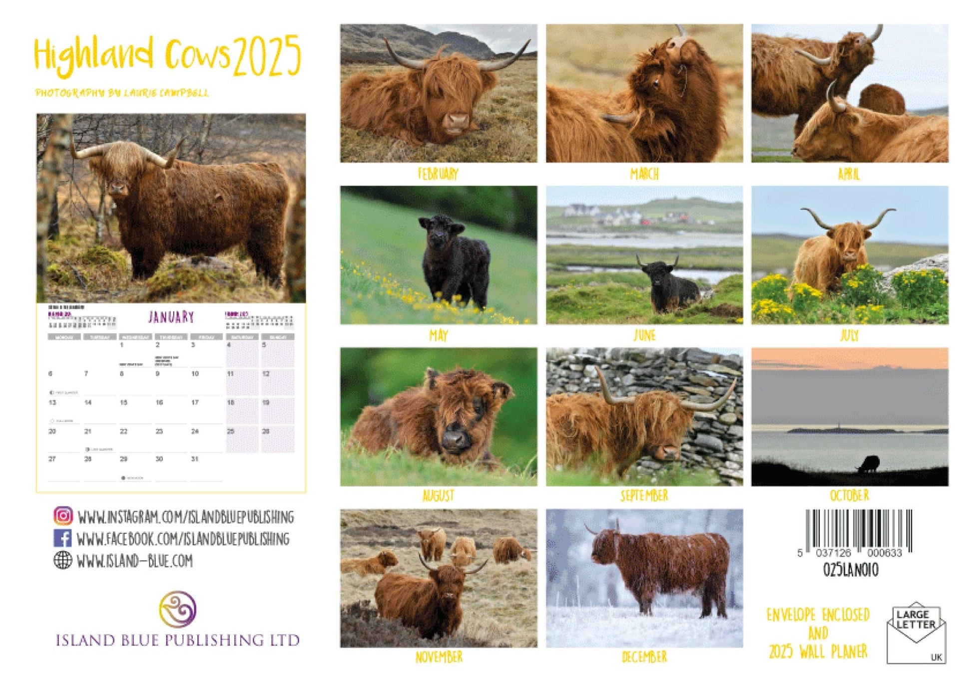 2025 Highland Cows Landscape Calendar and Wall Planner - 2