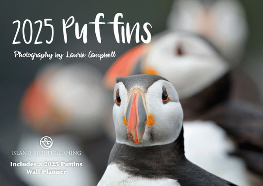 2025 Puffins Landscape Calendar and Wall Planner - 1