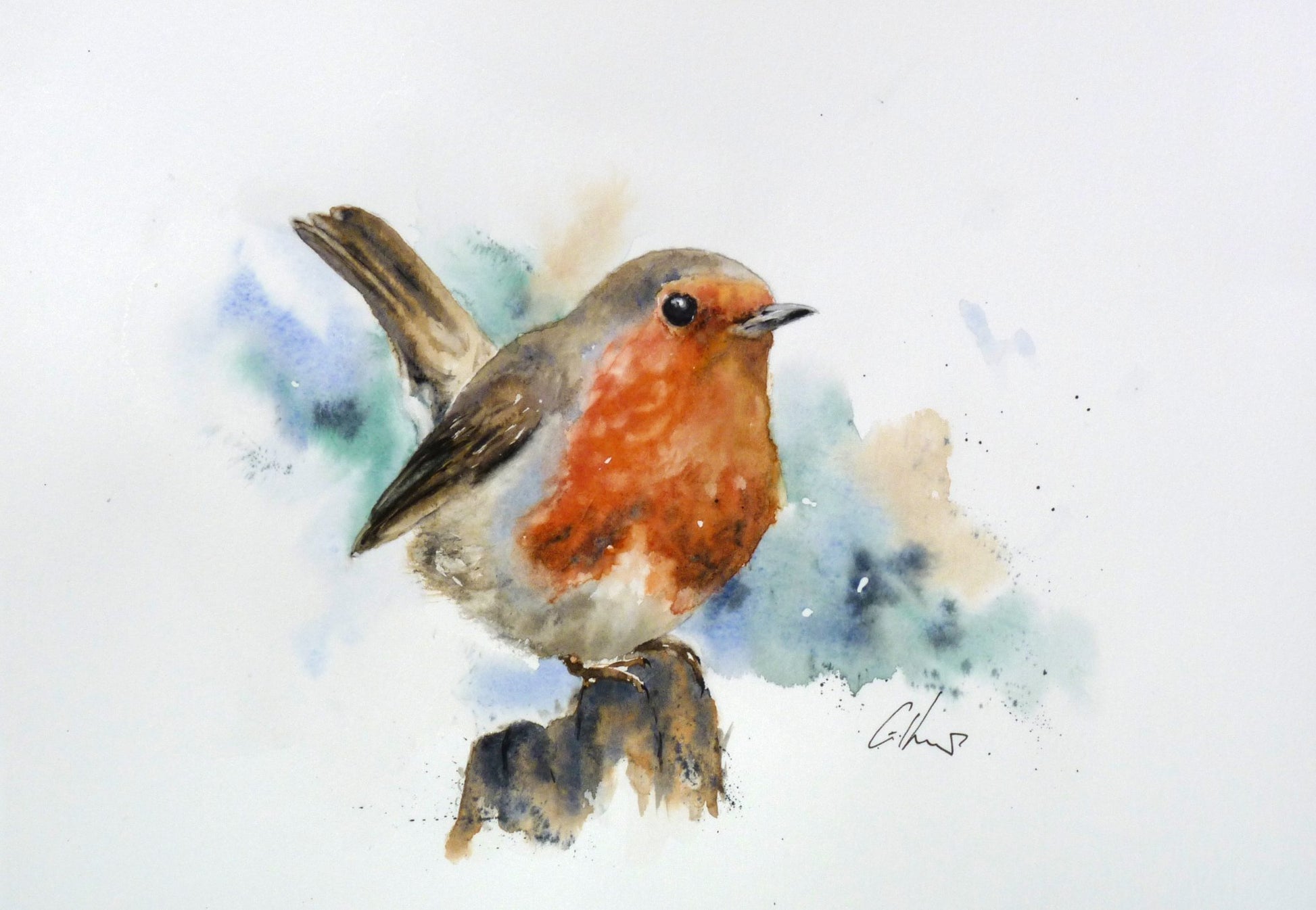 Robin - 1
