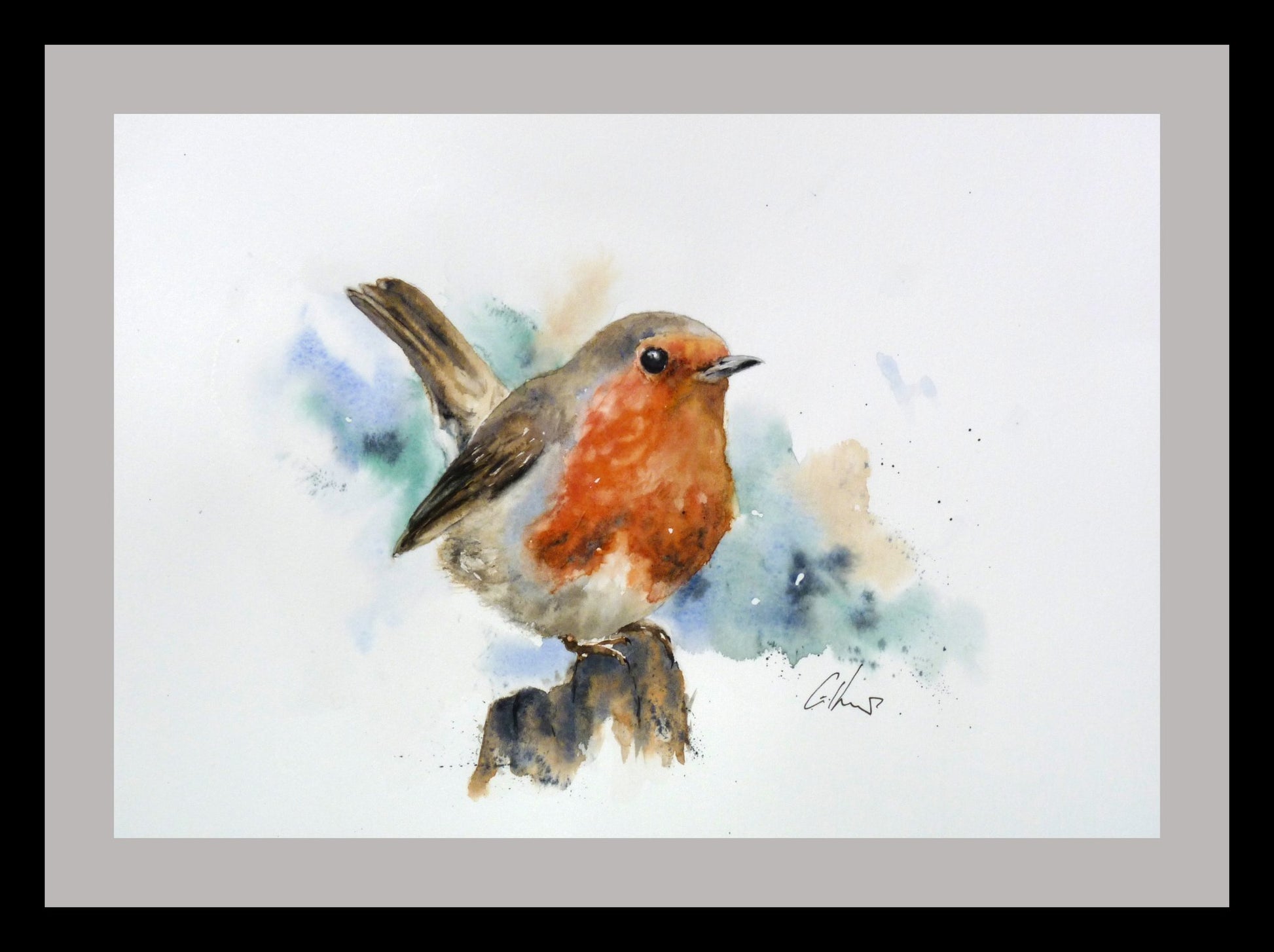 Robin - 2