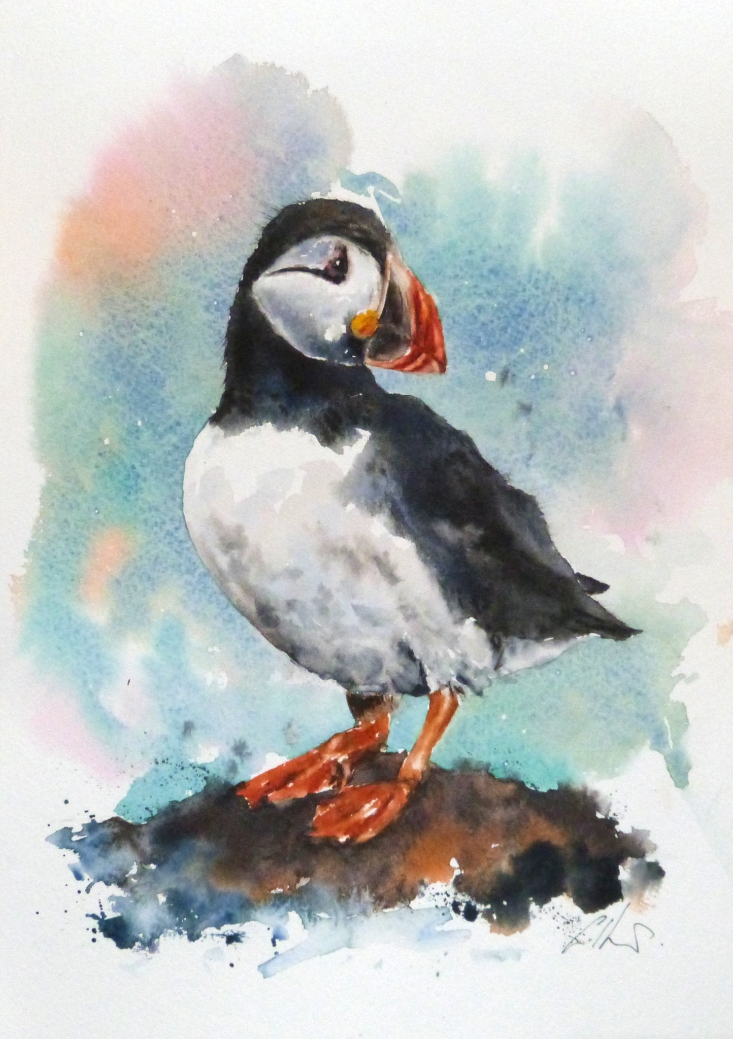 A Puffin, Original Watercolour Painting - 1