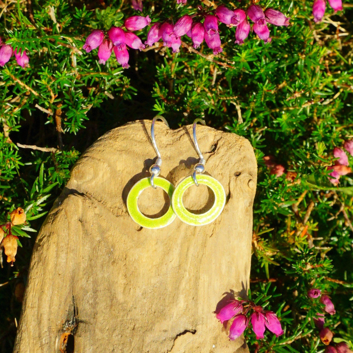65538f7a329f1a3a70a34bd9_earrings-green-2_1793026622847.jpg