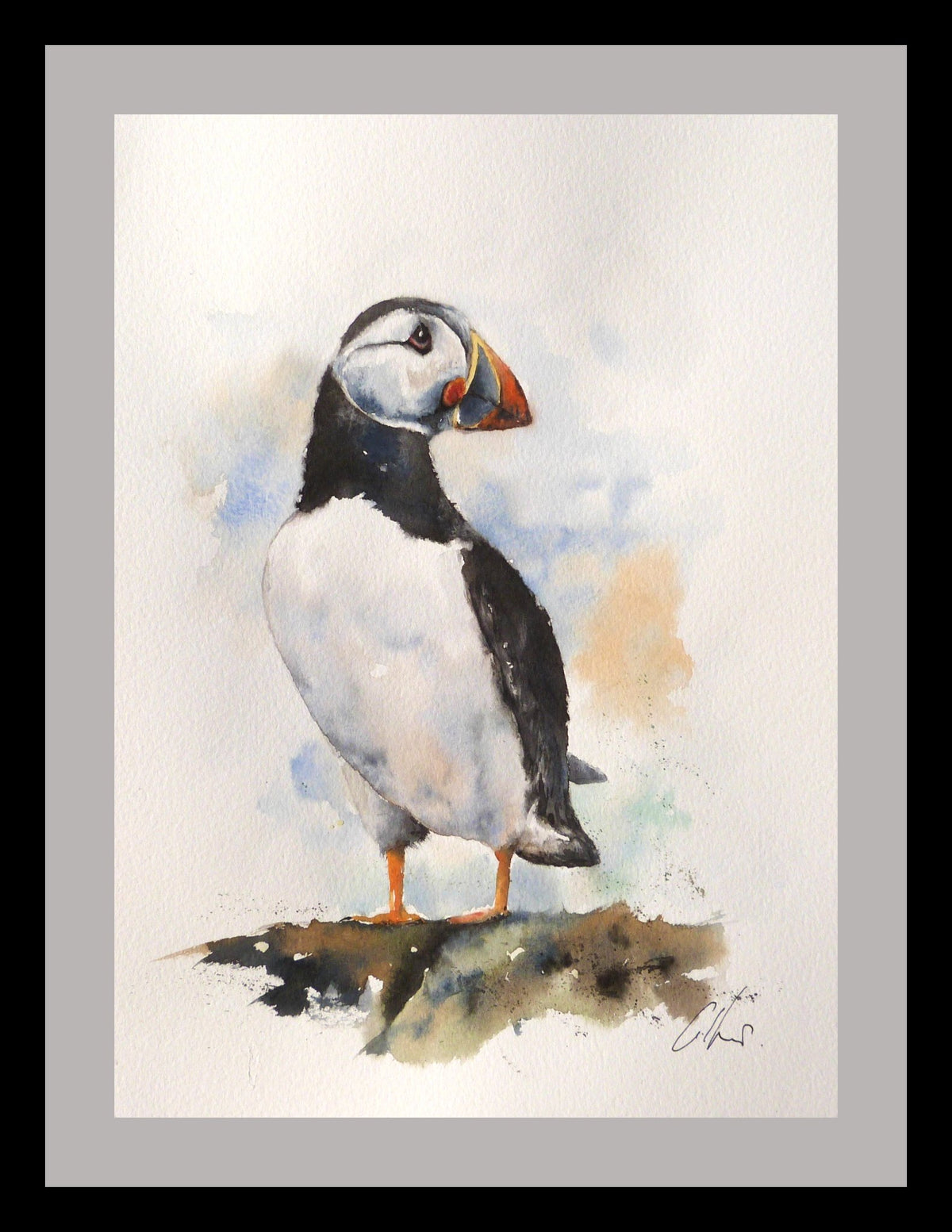 65538f7a329f1a3a70a34bd9_hello-puffin-watercolour-by-graham-kemp.-framed_1793438011480.jpg