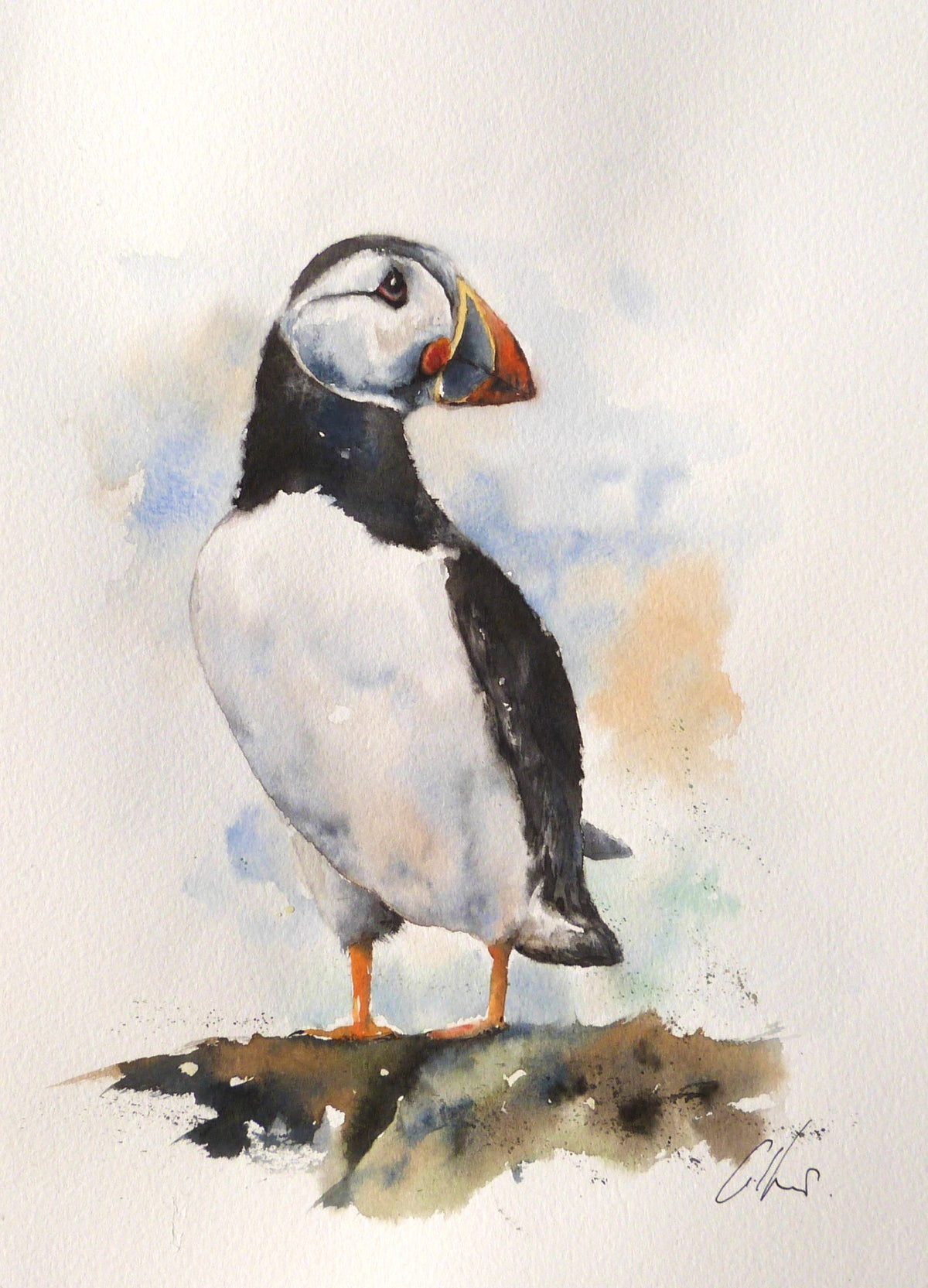 65538f7a329f1a3a70a34bd9_hello-puffin-watercolour-by-graham-kemp_1793438001911.jpg