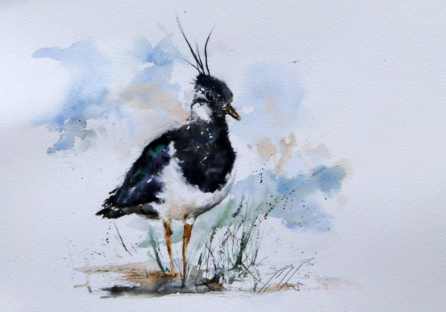 Lapwing, Original Watercolour Painting