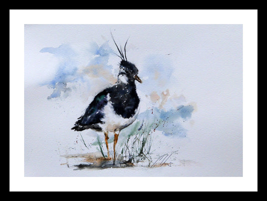 Lapwing, Original Watercolour Painting