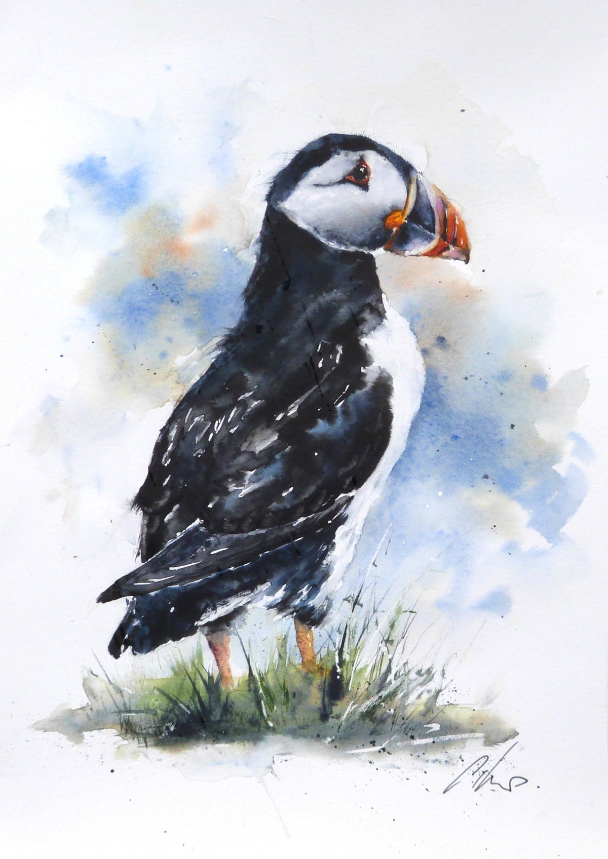 65538f7a329f1a3a70a34bd9_proud-puffin-watercolour-by-graham-kemp.-77_1793438228303.jpg