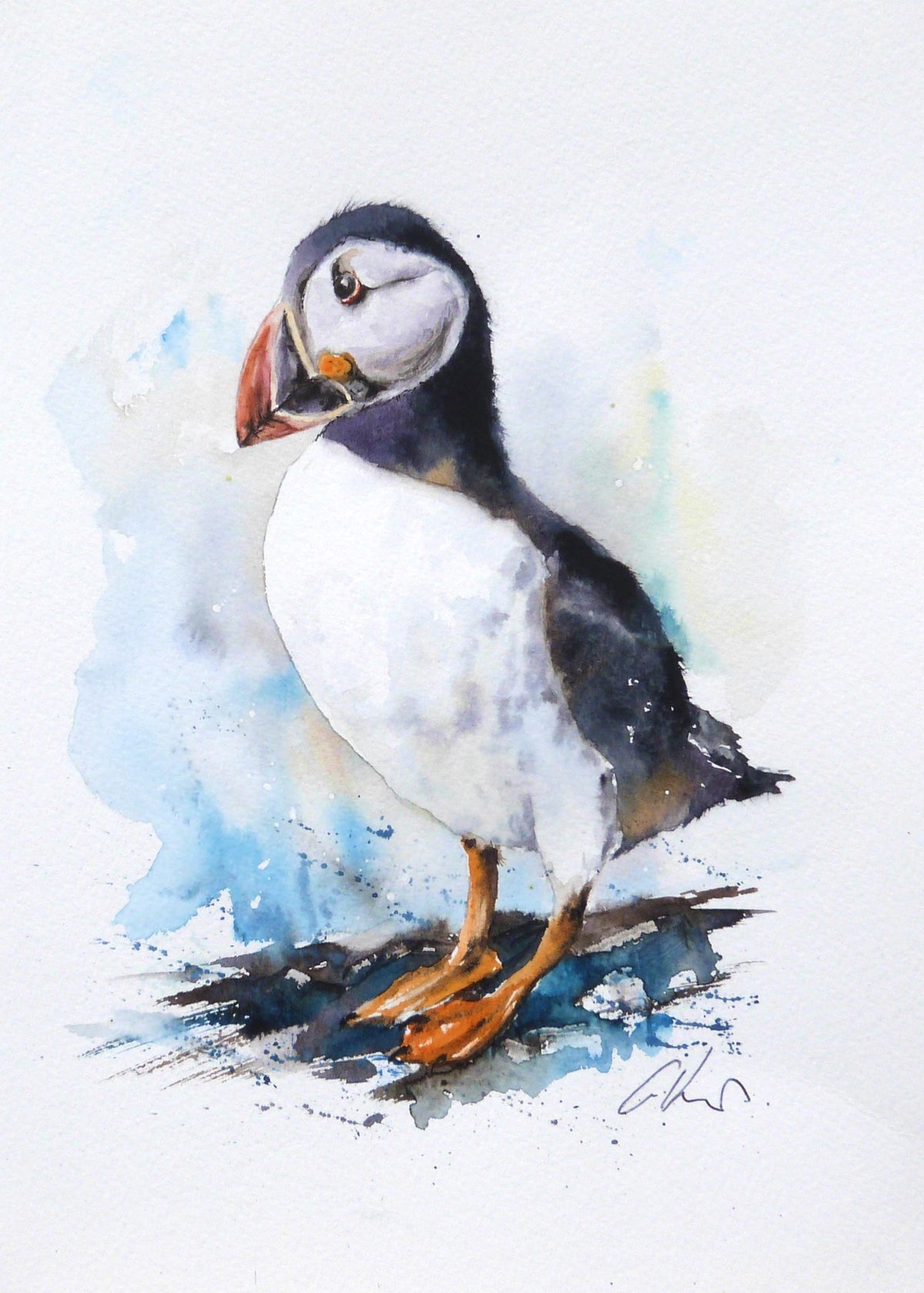 65538f7a329f1a3a70a34bd9_puffin-life-watercolour-by-graham-kemp_1793438337197.jpg