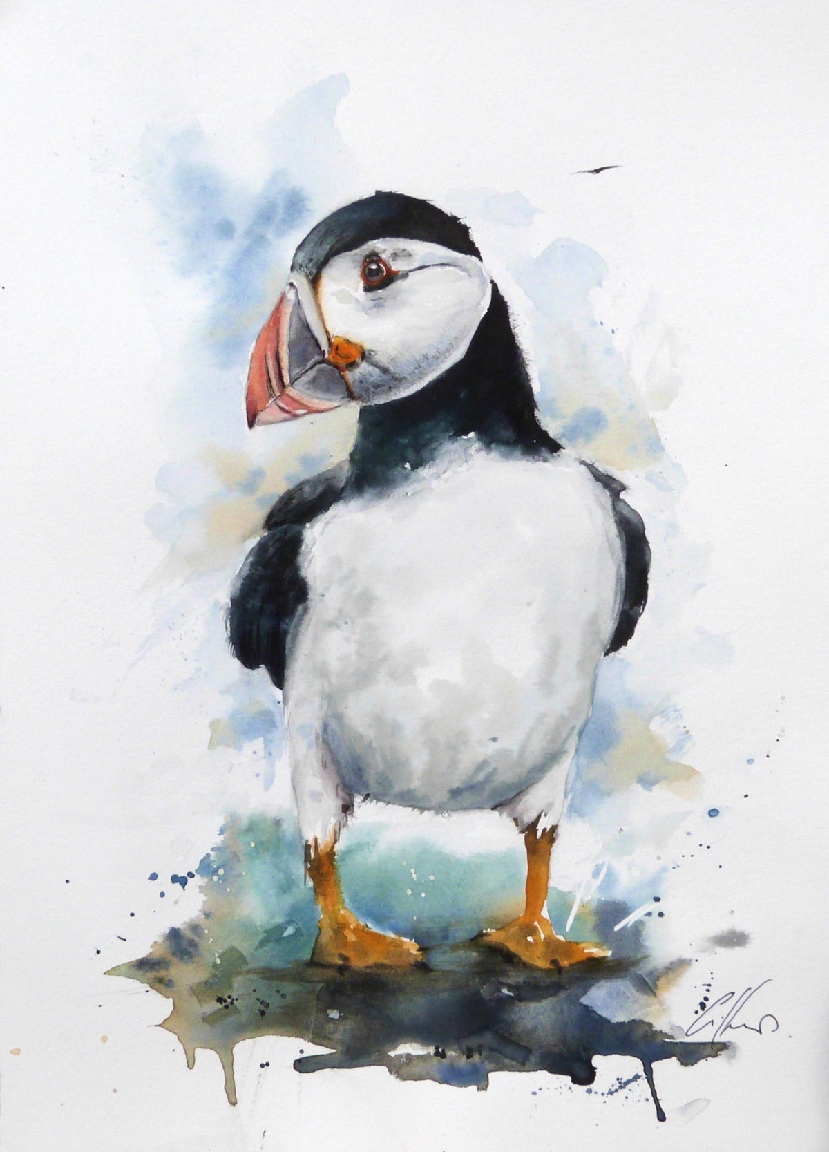 65538f7a329f1a3a70a34bd9_puffin-watercolour-by-graham-kemp.-2026_1790145586895.jpg