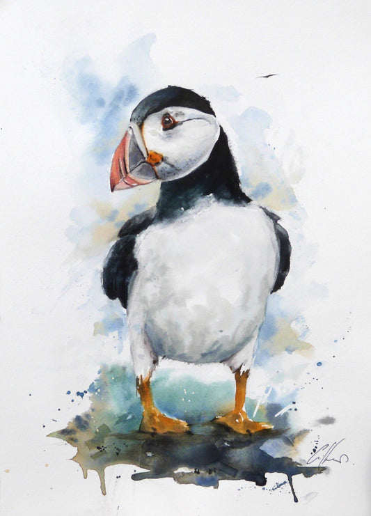 65538f7a329f1a3a70a34bd9_puffin-watercolour-by-graham-kemp.-2026_1790145586895.jpg