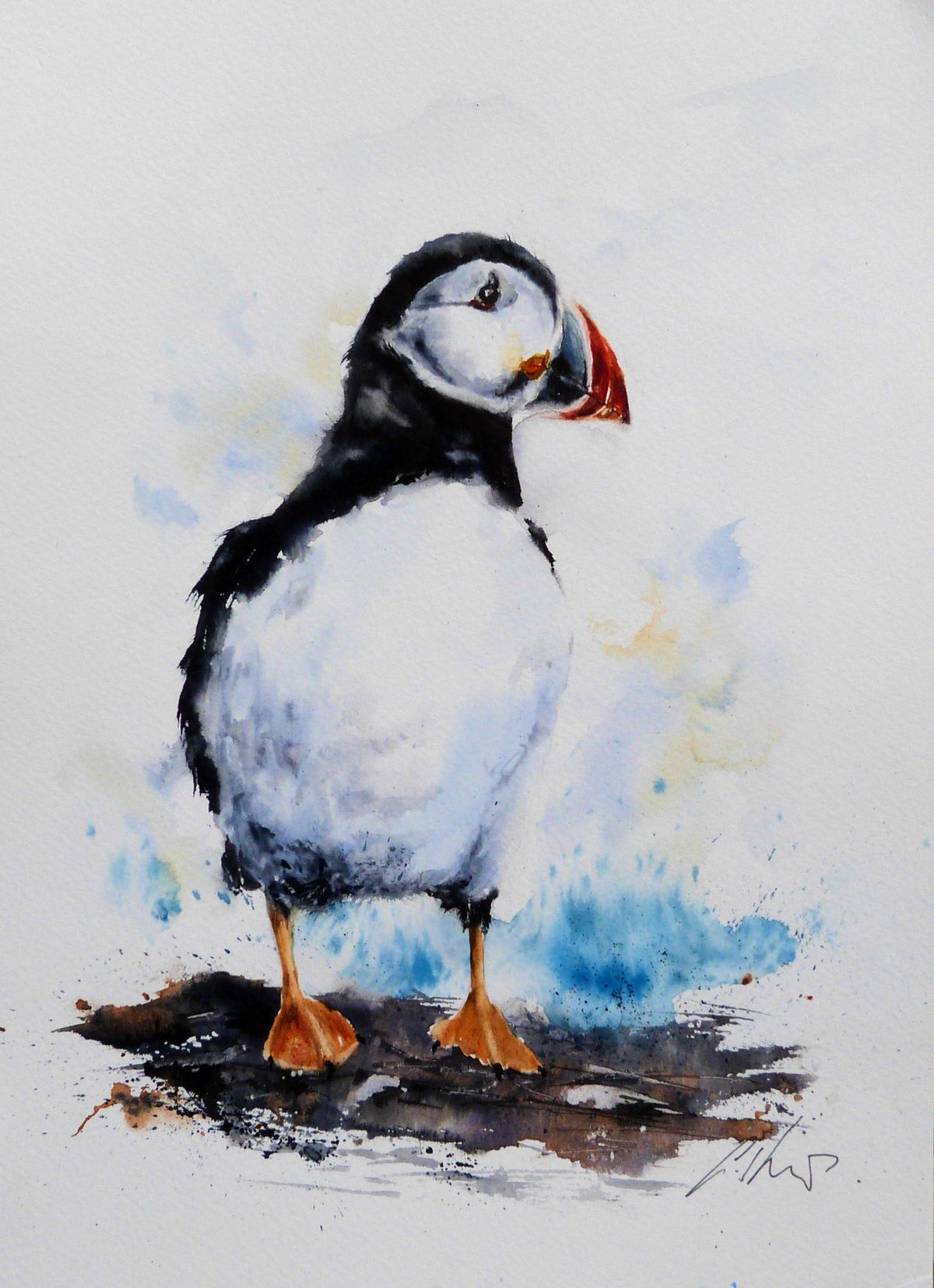 65538f7a329f1a3a70a34bd9_pufin-watercolour-by-graham-kemp_1793438528957.jpg