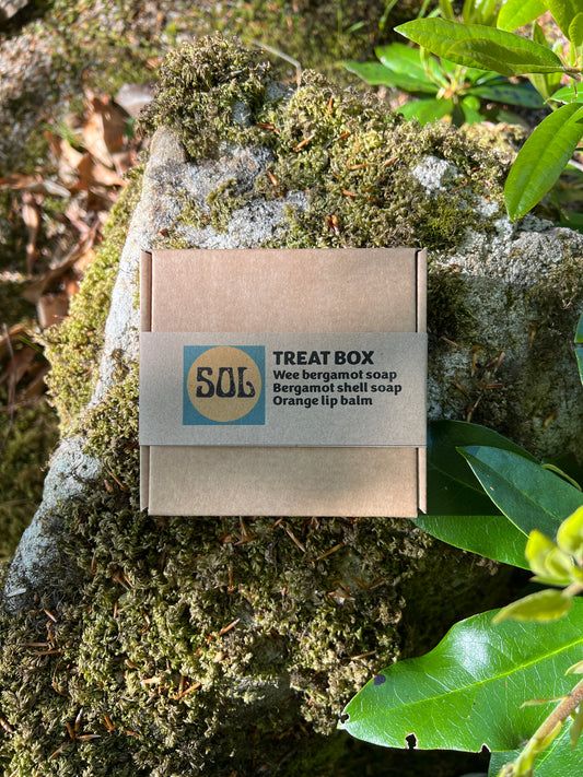 Bergamont Soap Treat Box
