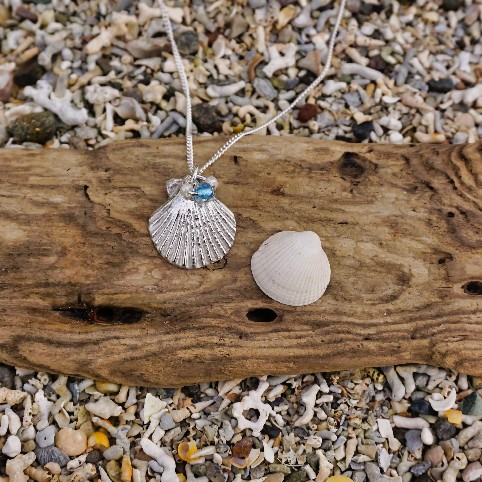 Scallop Shell Pendant - 2