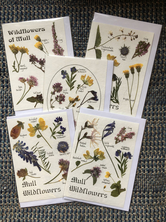 Pressed Wildflower Cards