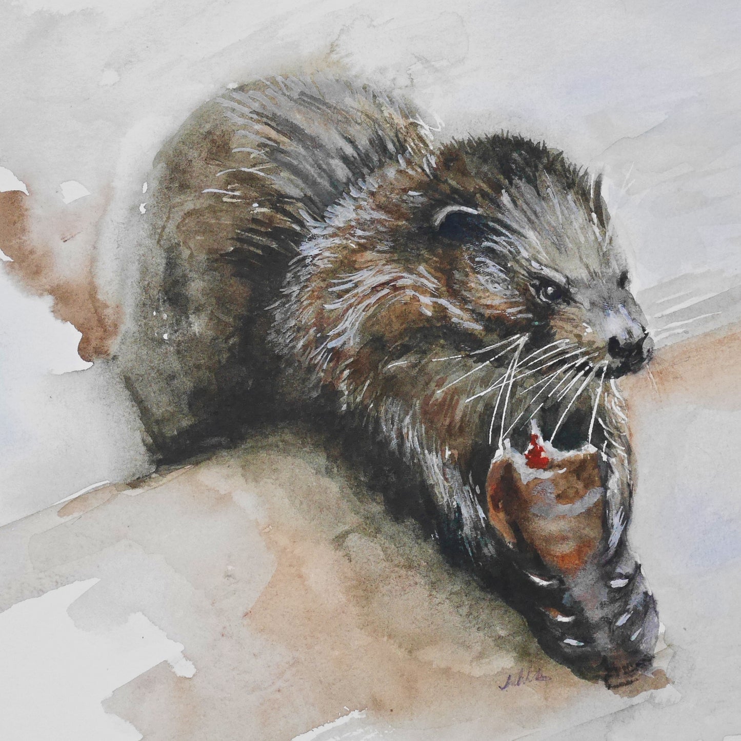 Otter Eating