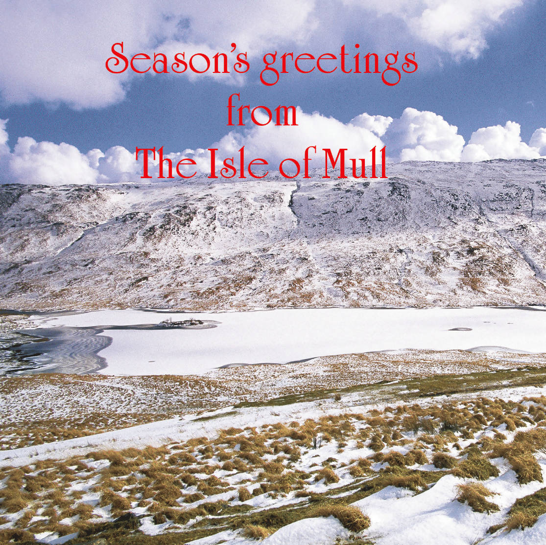 Season's Greetings from the Isle of Mull Card